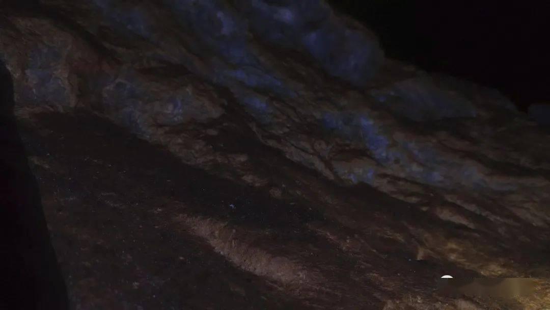 航海王